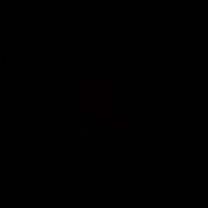 Meet your Posher, Peyton